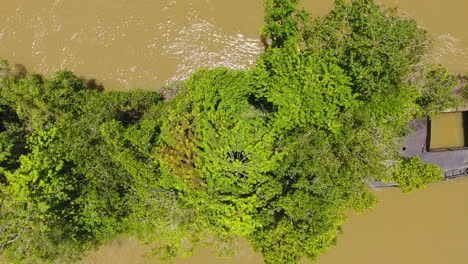 Vertical-drone-view-of-a-shipwreck-covered-with-vegetation-in-French-Guiana